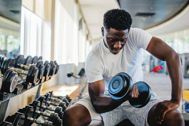 4249436 web1 web weights