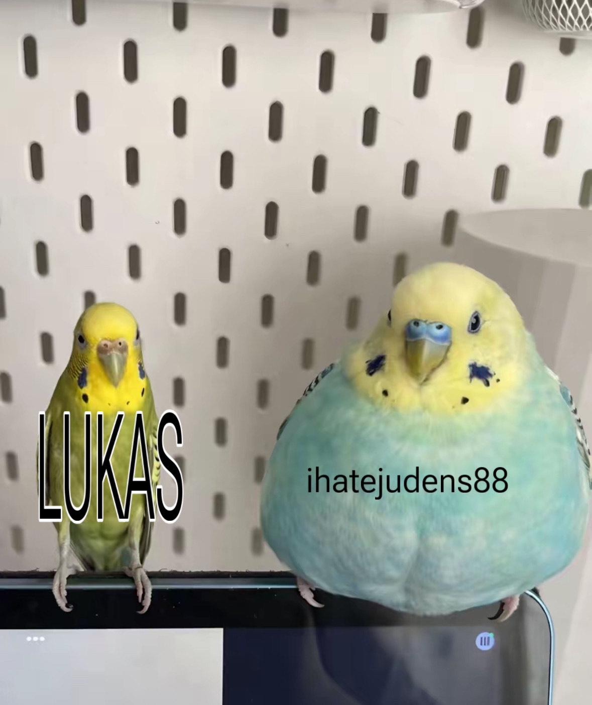 539FC3A2 5F1F 433A BF79 CBF71F8FC2B5