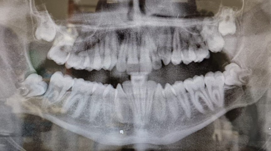 Photo 2026 04 01 12 51 42