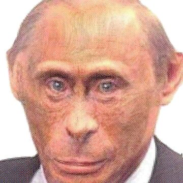 1000202466