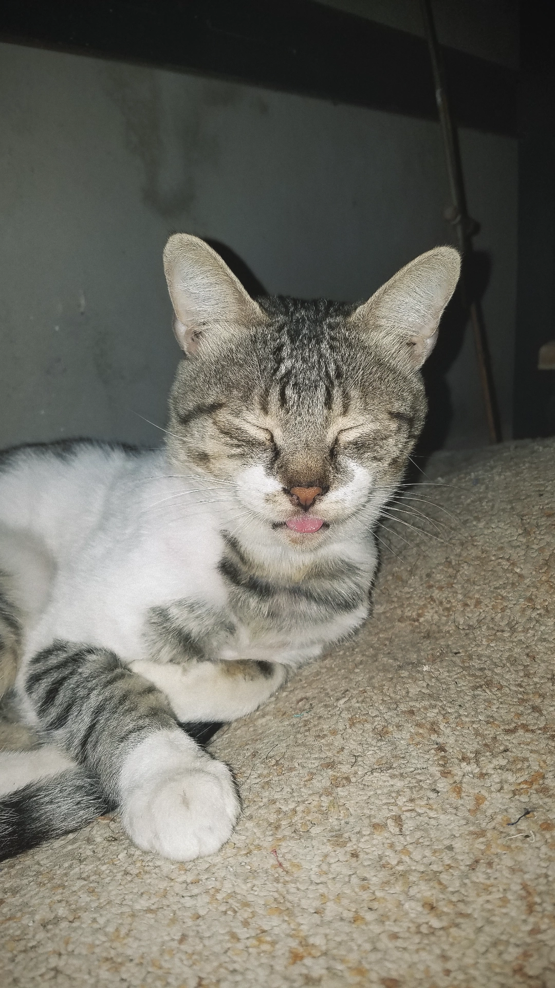 IMG 20250617 210109 825