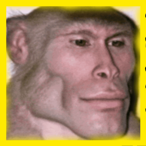 InShot 20260402 142408496