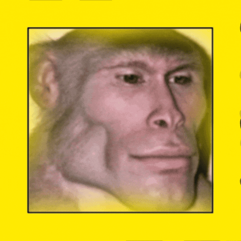 InShot 20260402 150429800