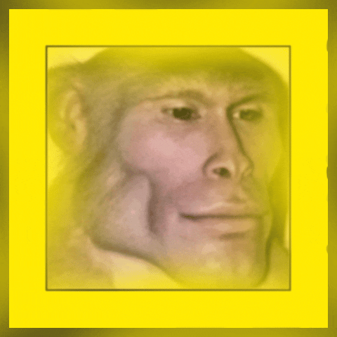 InShot 20260402 151600893