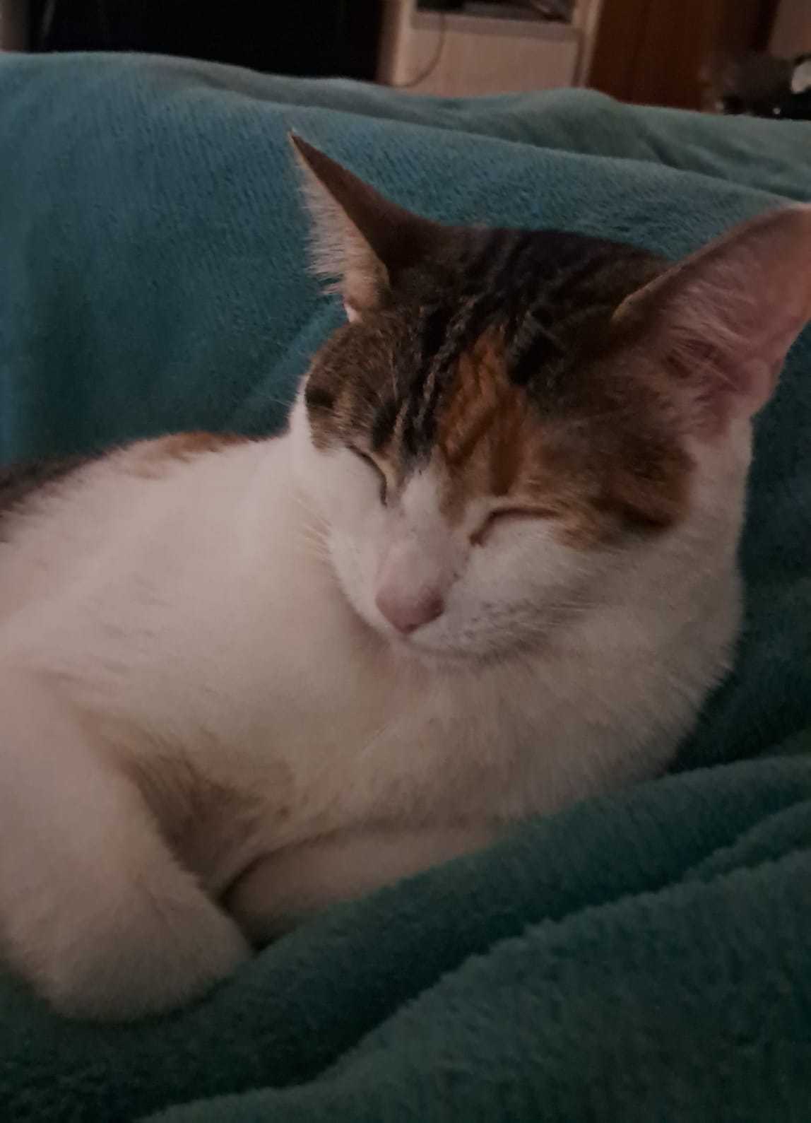 Ffac02de 60c2 403d 834a 2d042d27aa17