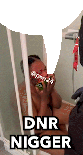 Phn24 dnr nigger