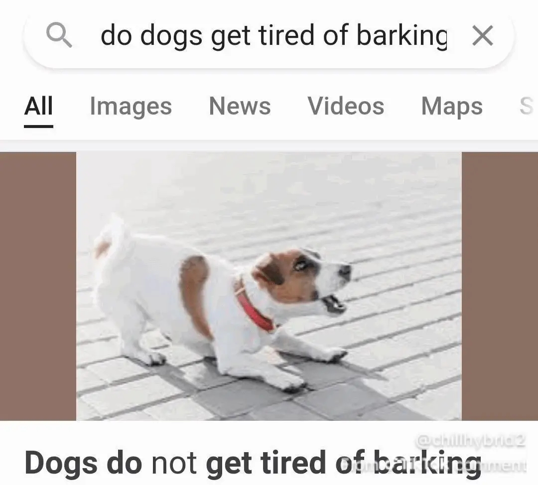 D37047947d334536a7a5d927582d7af1tplv jj85edgx6n image origin