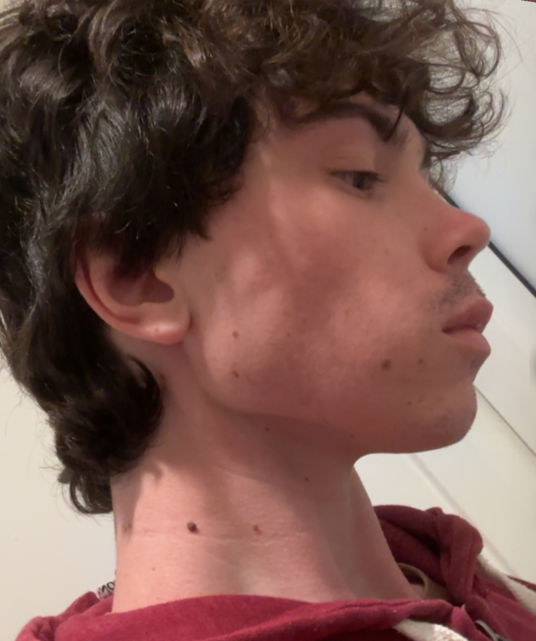 IMG 2965
