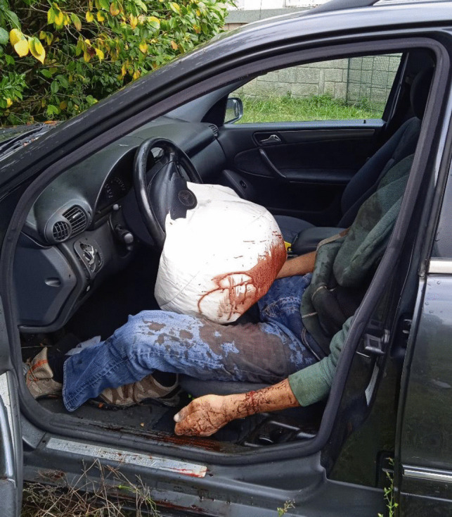 12024 2023 744 Fig1 HTML