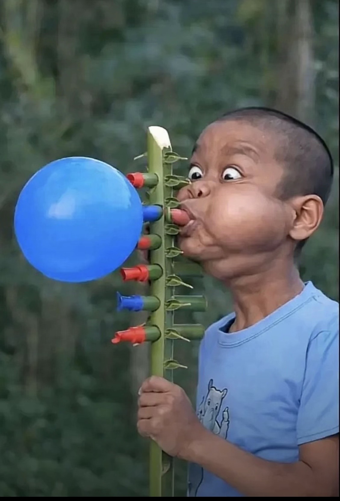 IMG 1348