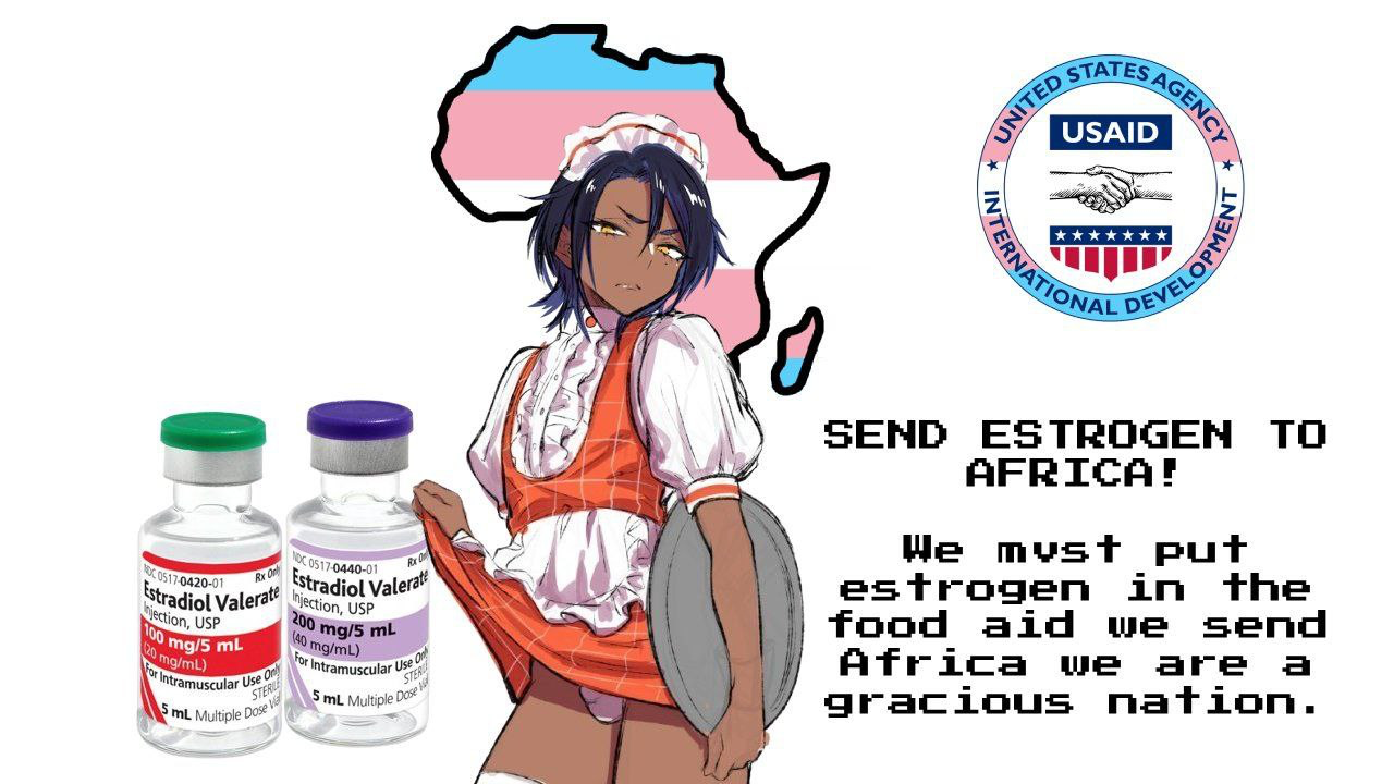 1775232186983