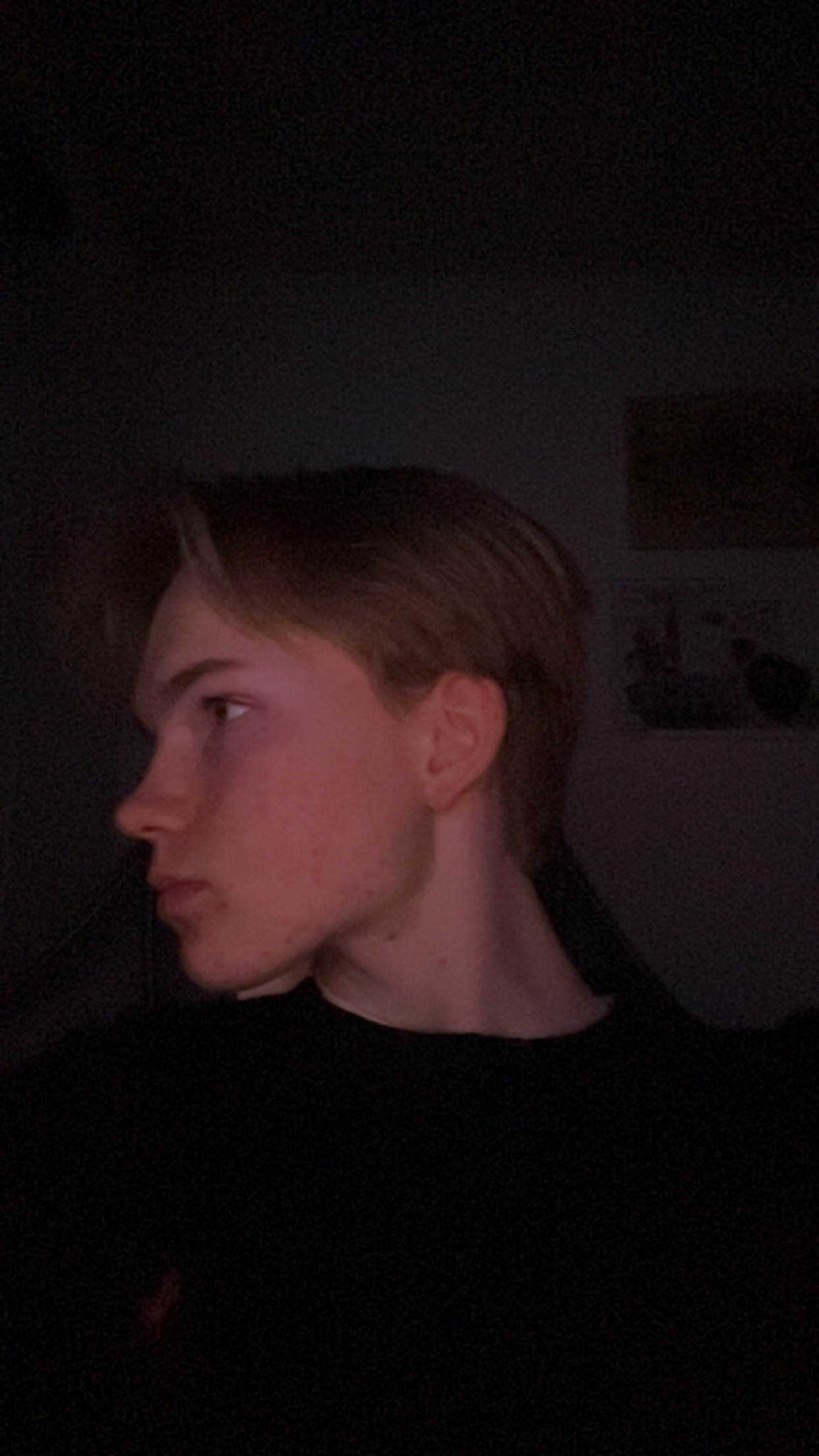 IMG 1197