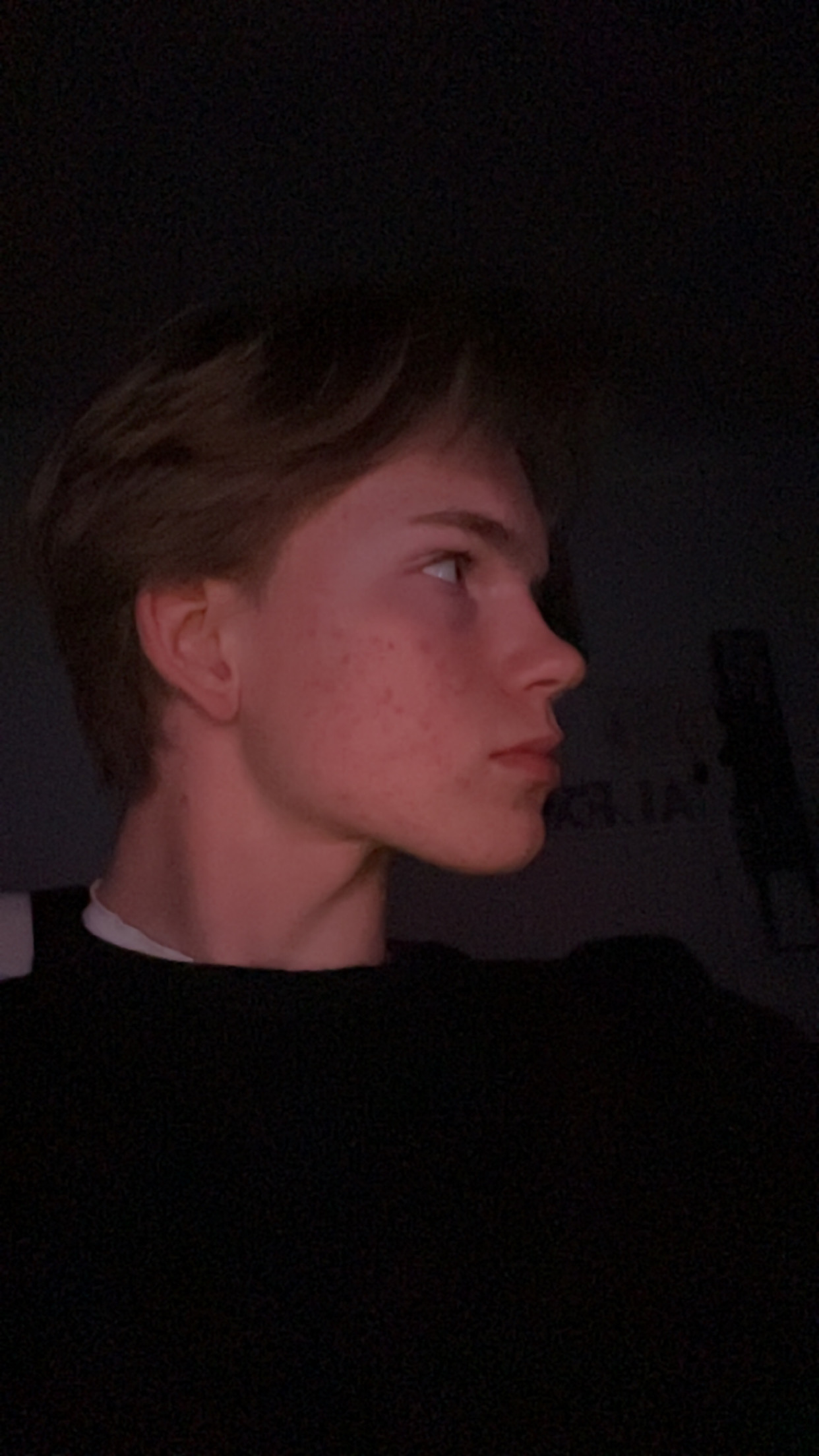 IMG 1196
