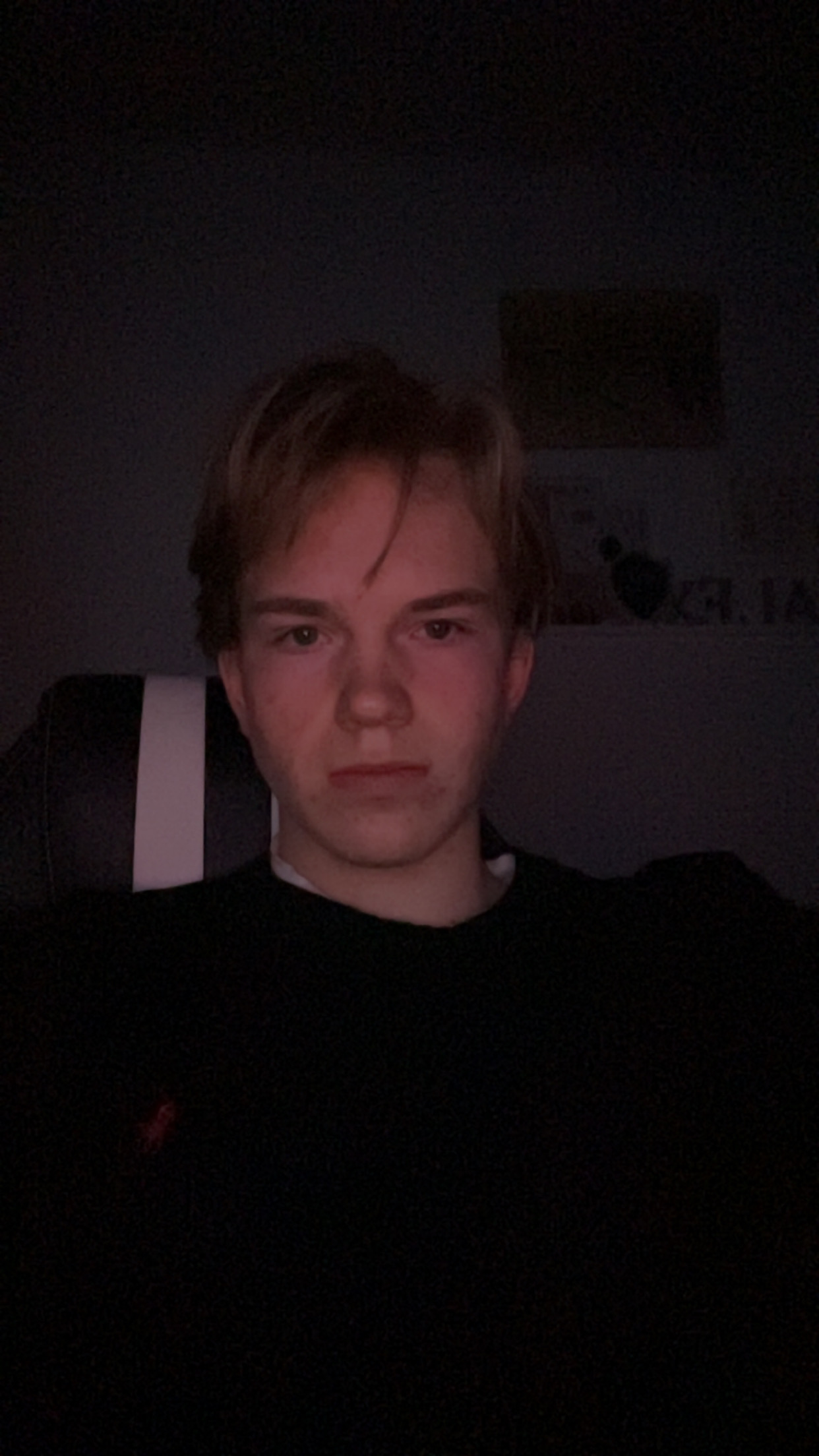 IMG 1195