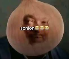 Sonion meme
