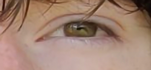 Screenshot 20260404 151916 Gallery