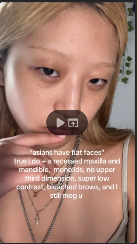 Screenshot 2026 04 05 at 122635AM