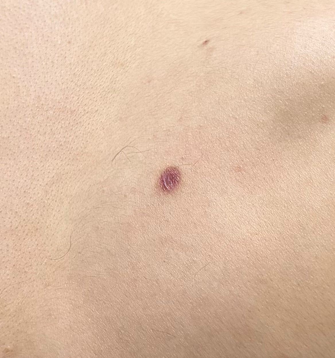 WhatsApp Image 2026 04 05 at 220622 1