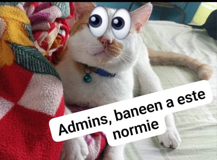 2201a7c1089474e45d9c45a854a74041