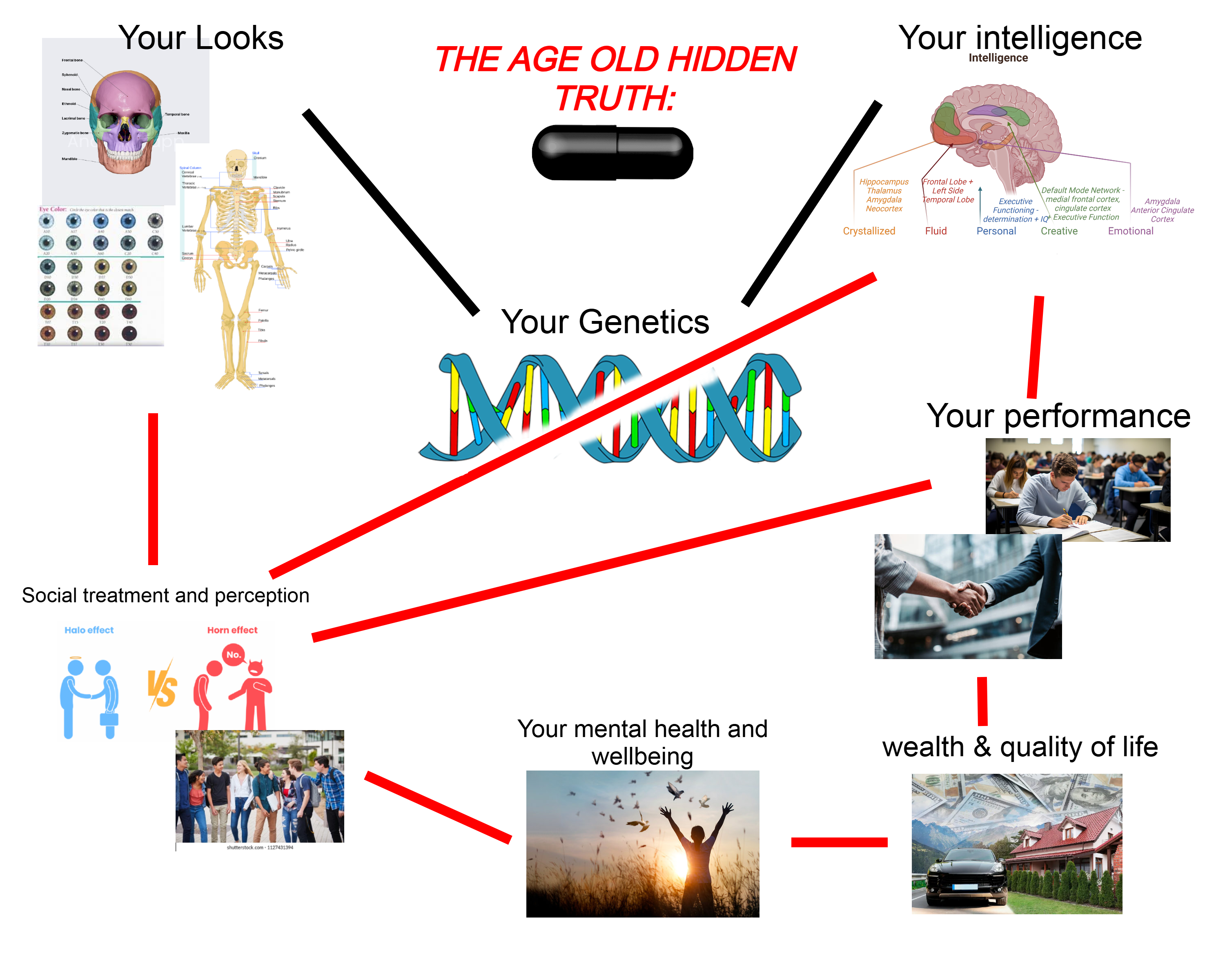 THEAGEOLDTRUTH