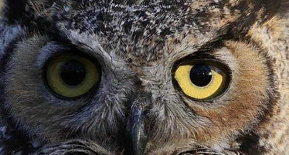 Screenshot 2026 04 06 at 102617AM