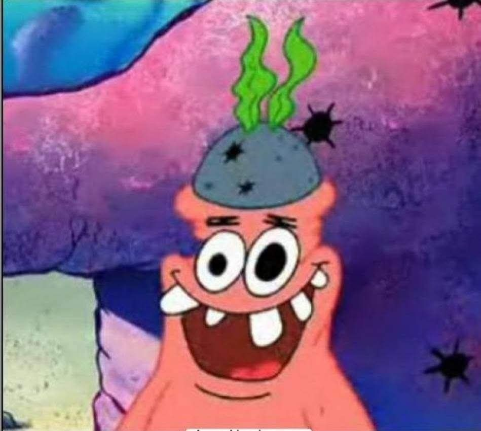 6093847 1775412091571