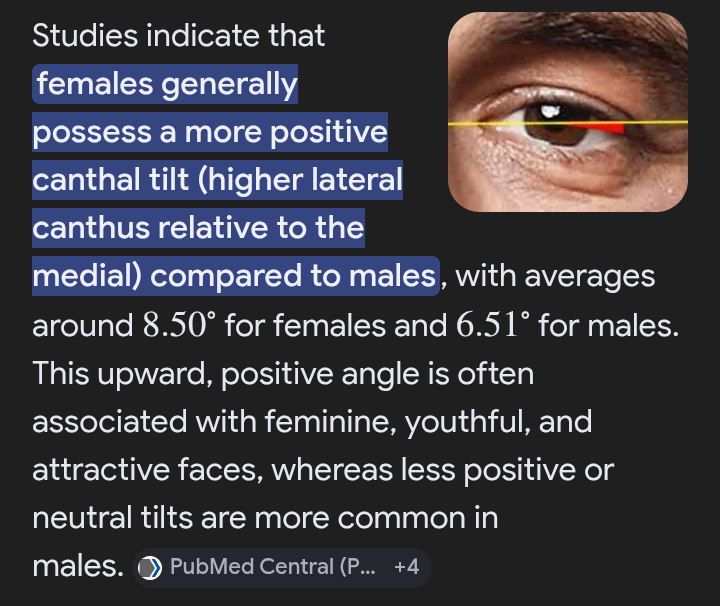 IMG 20260406 203738 319