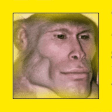 1775506063864
