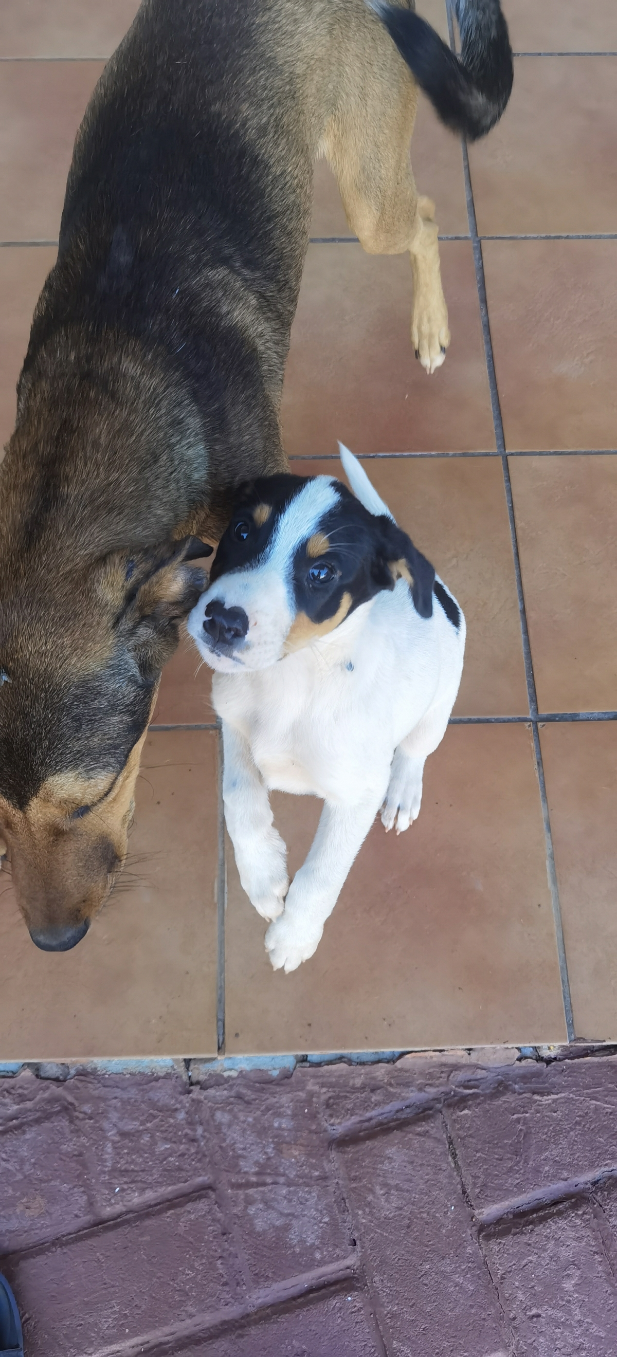 Screenshot 20250220 223622 comhuaweiphotos