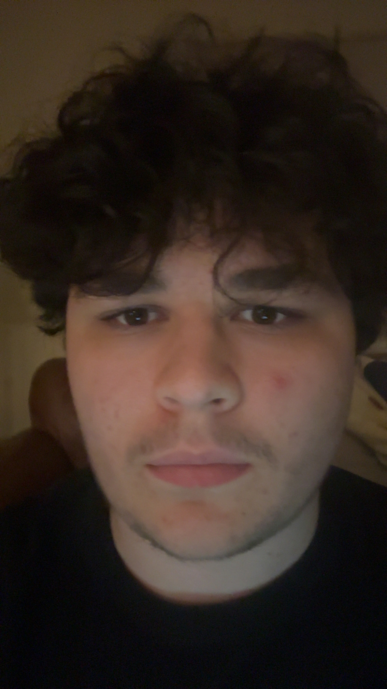 IMG 2208