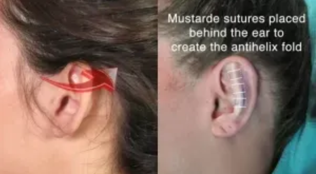 Screenshot 2026 04 07 123725