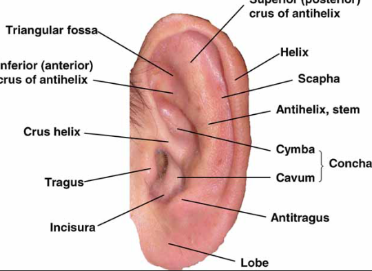 Screenshot 2026 04 07 132538