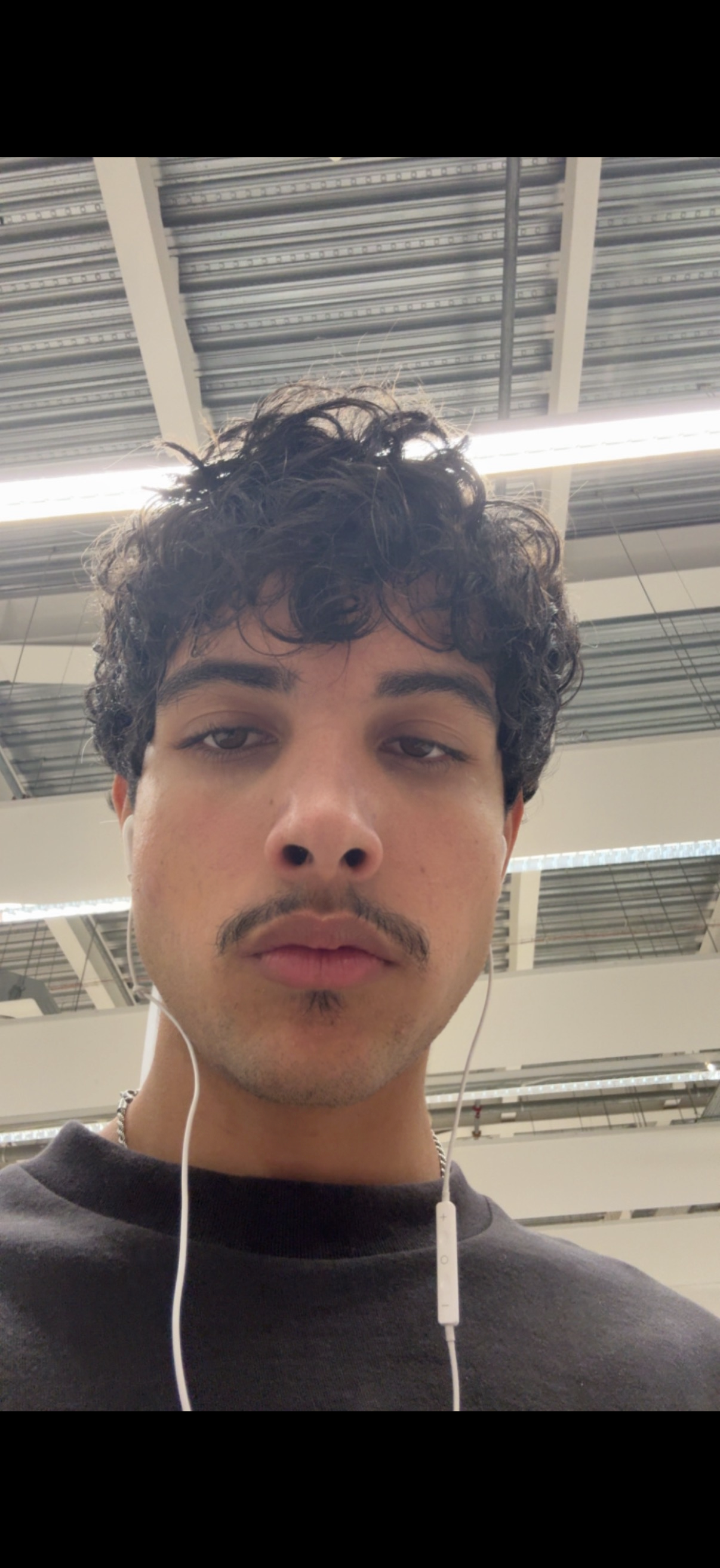 IMG 0494