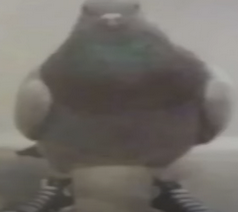 Screenshot 2026 04 07 at 122726PM