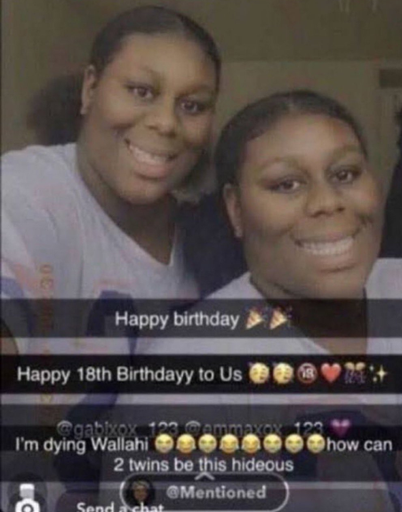 Two hideous twins meme