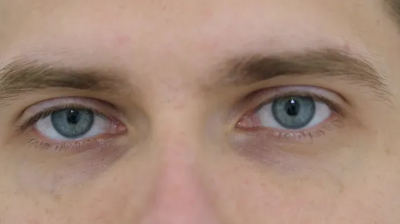 Shutterstock 703566316