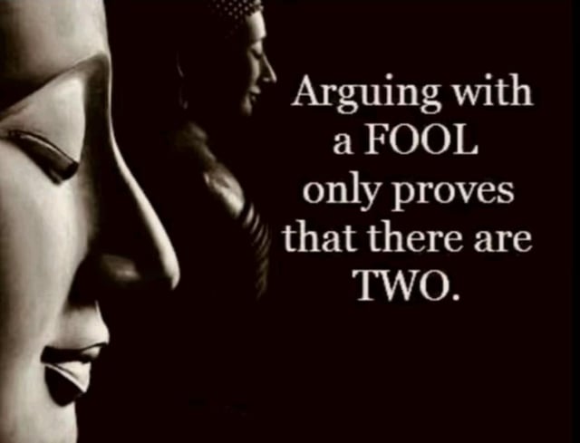 Unwise to argue with a fool v0 1lssforgkrhf1