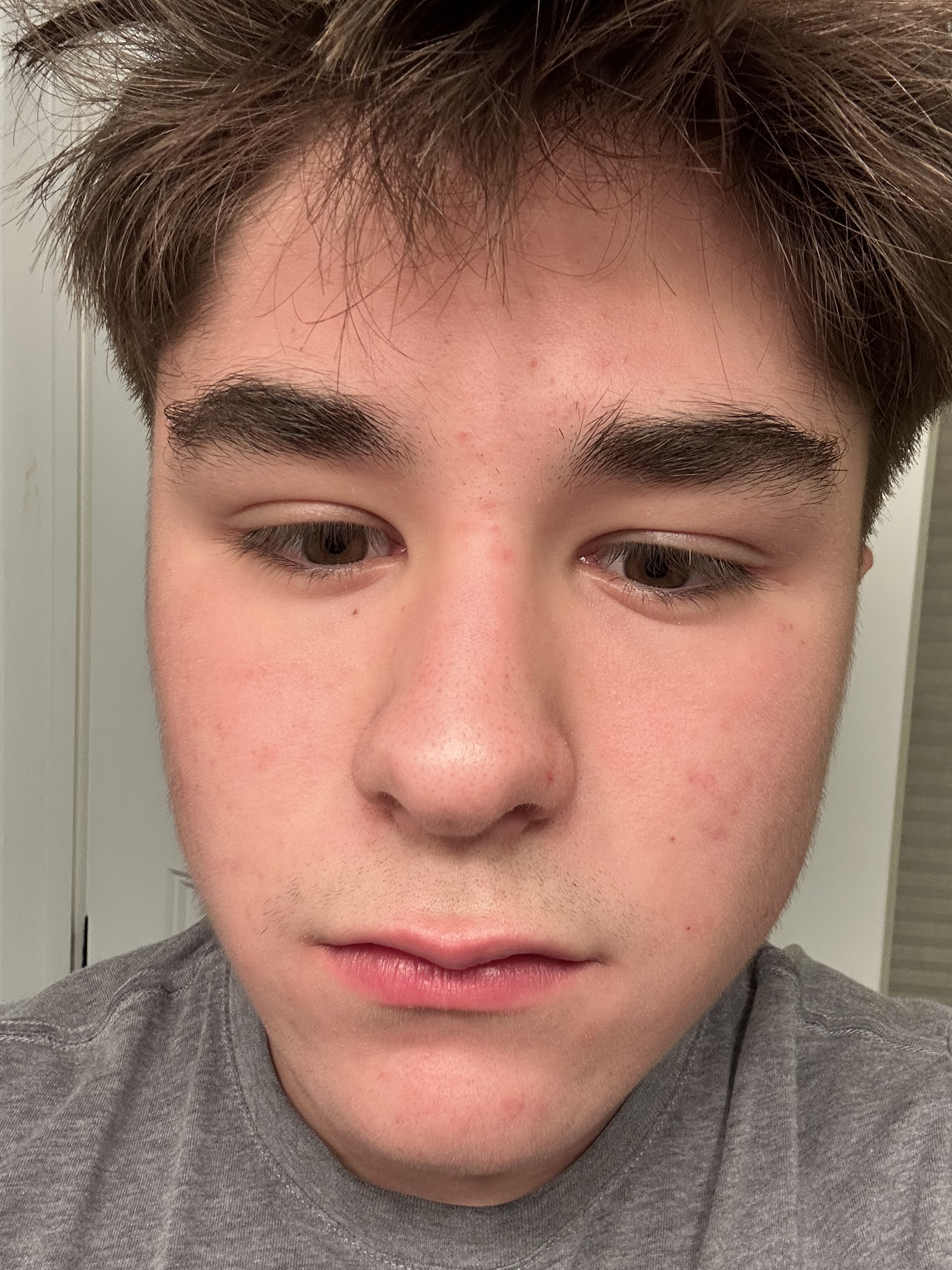 IMG 0445