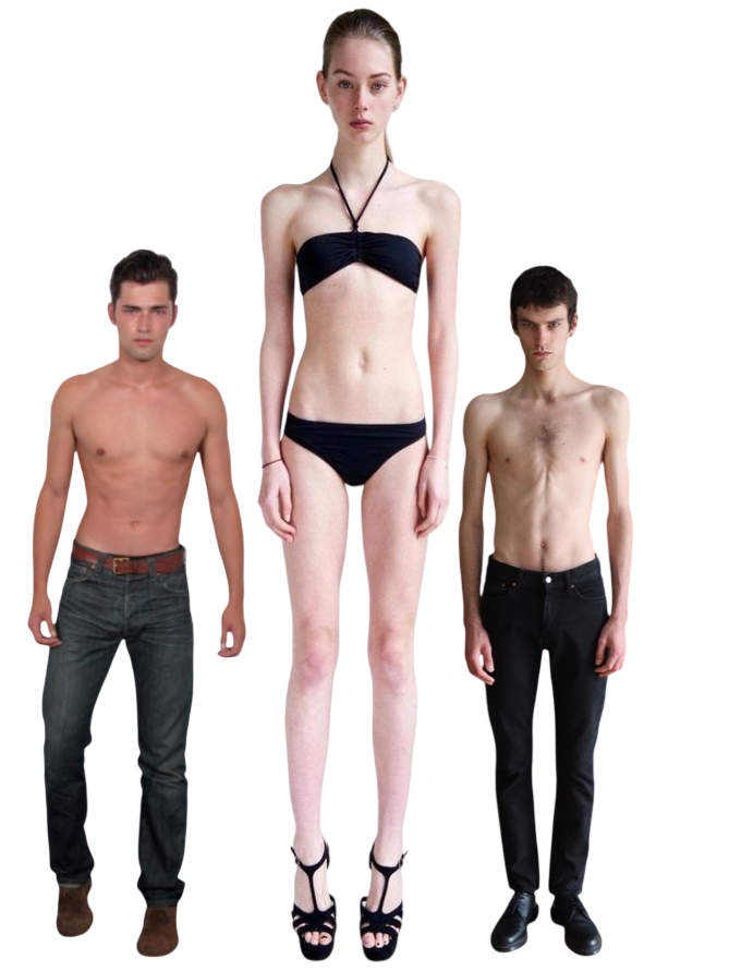 6087075 download 1 Photoroom