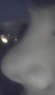 1775648781639