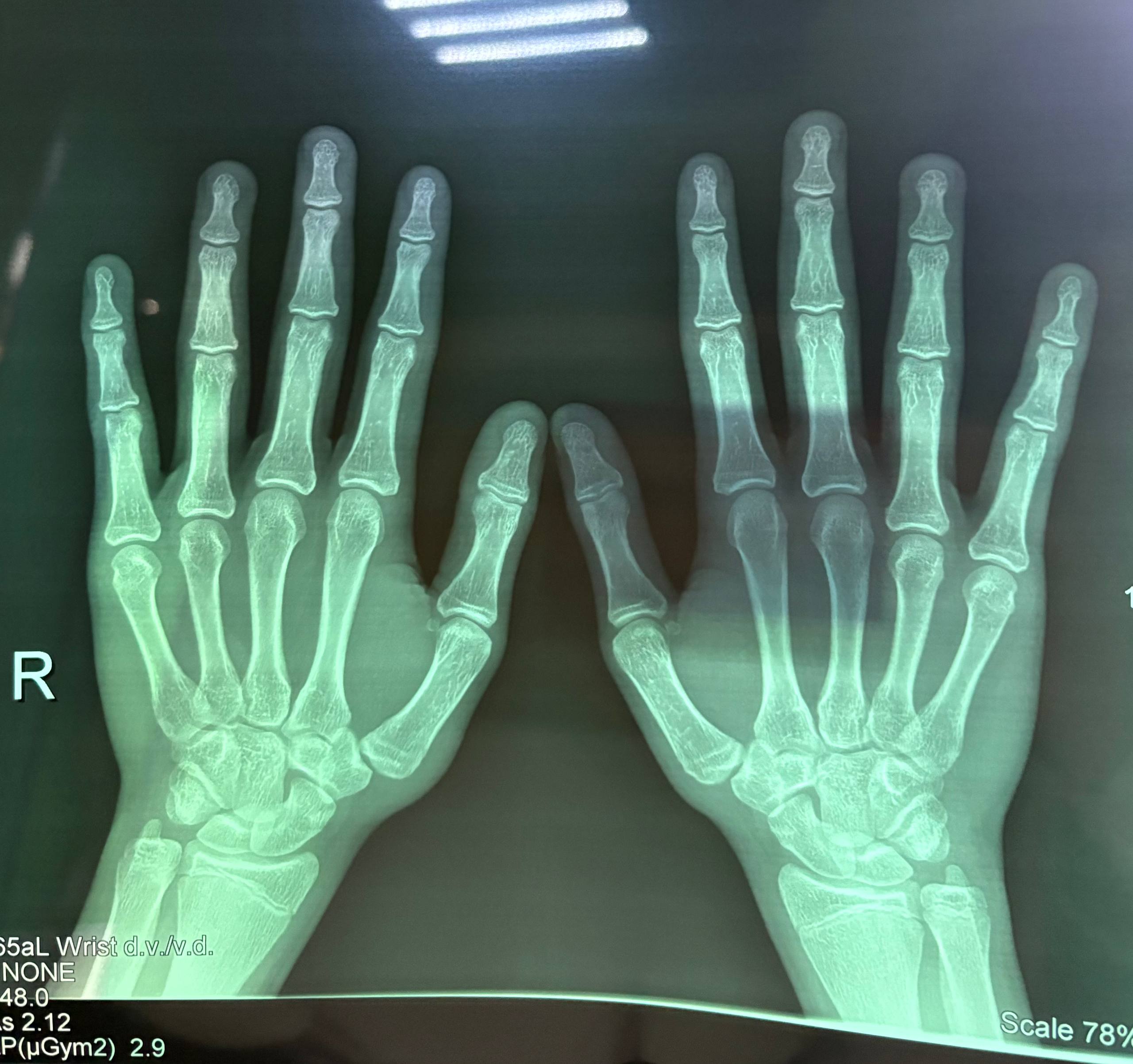 Photo 2026 04 08 16 24 23