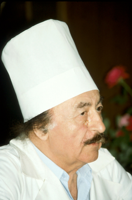 GA Ilisarow 1991