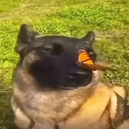1000082835