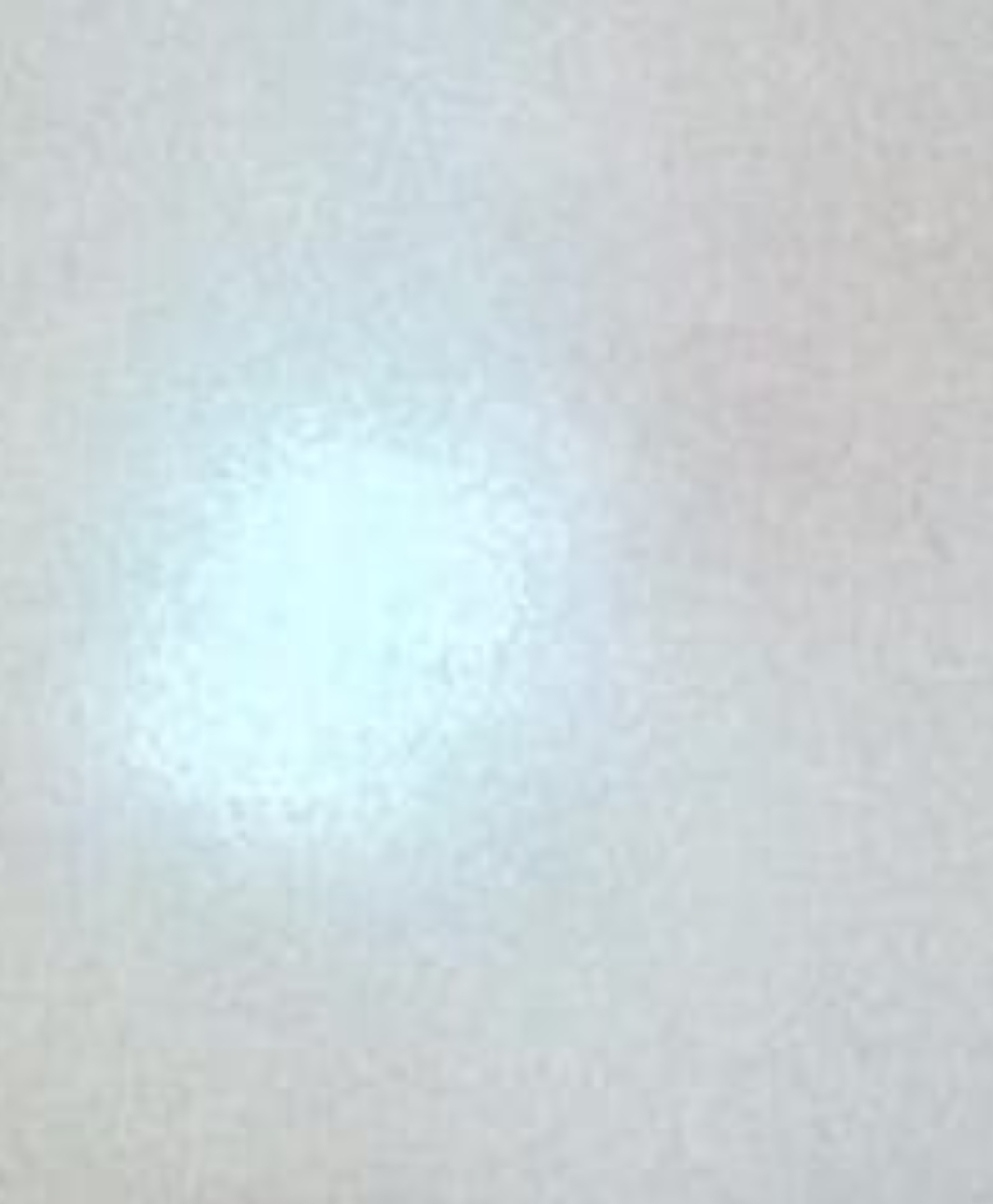 Screenshot 20260409 065641 WhatsApp