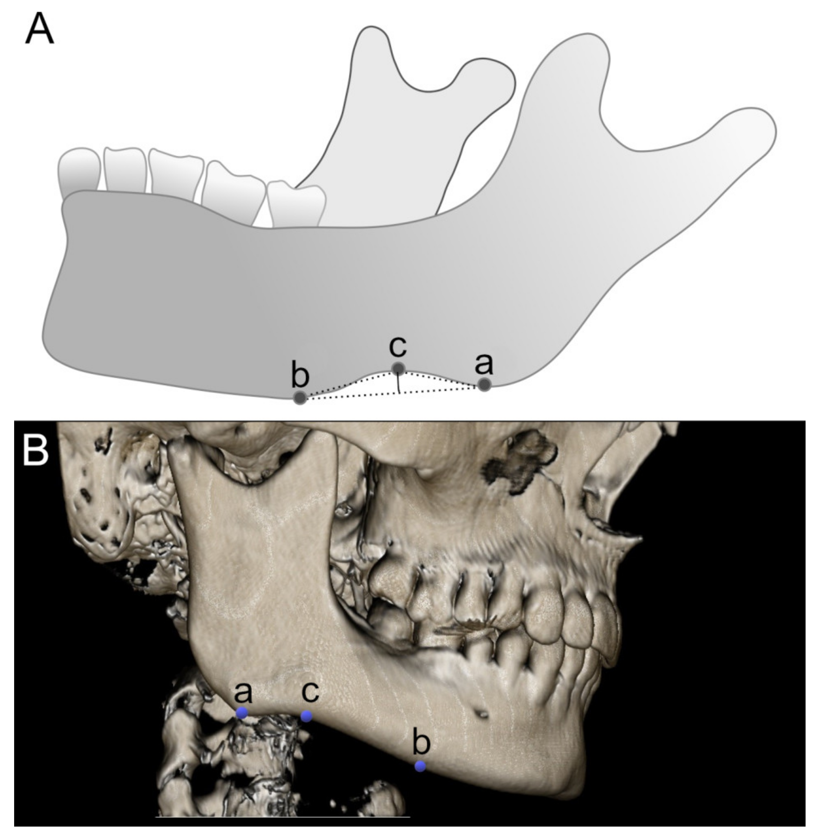 Symmetry 14 01558 g001