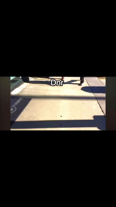 IMG 0599