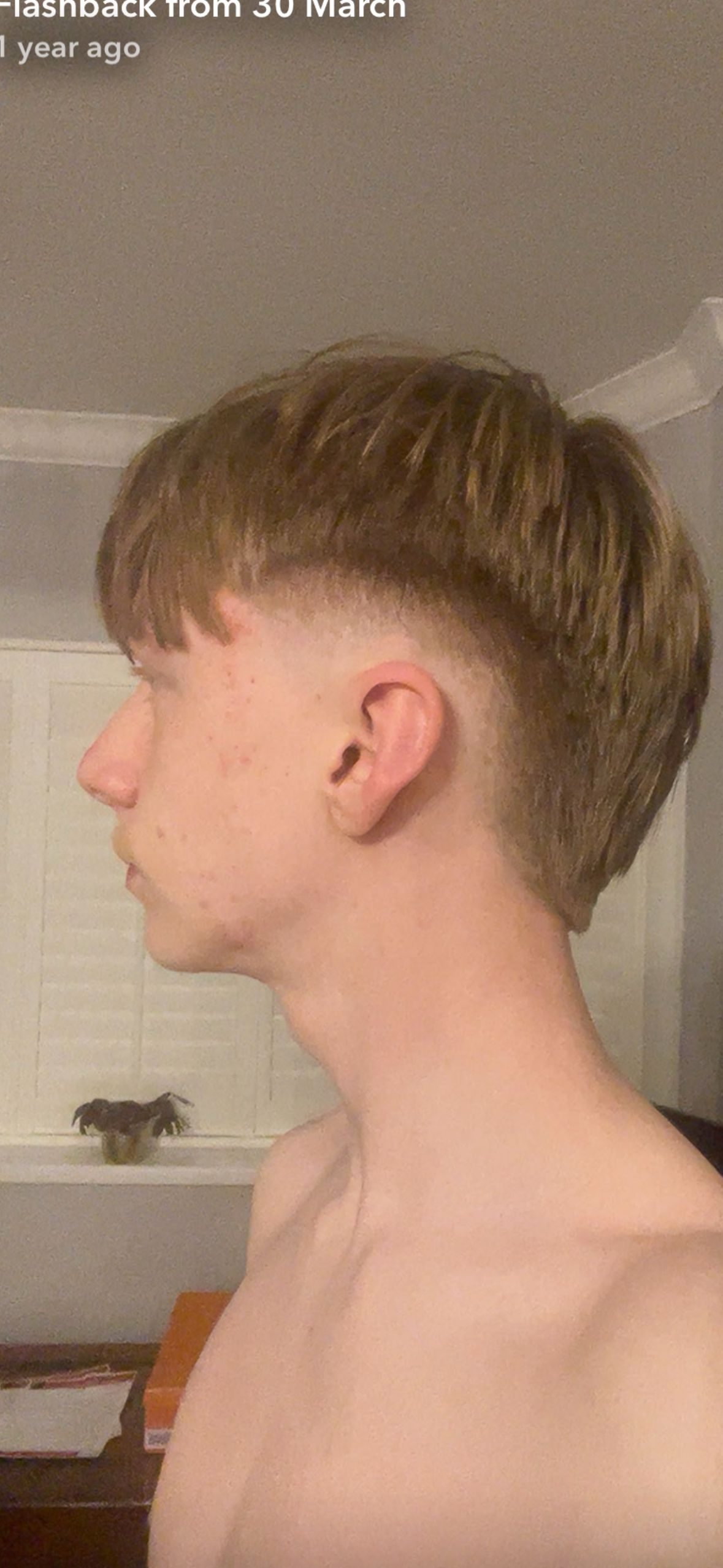 IMG 3556