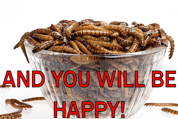 Happy meal