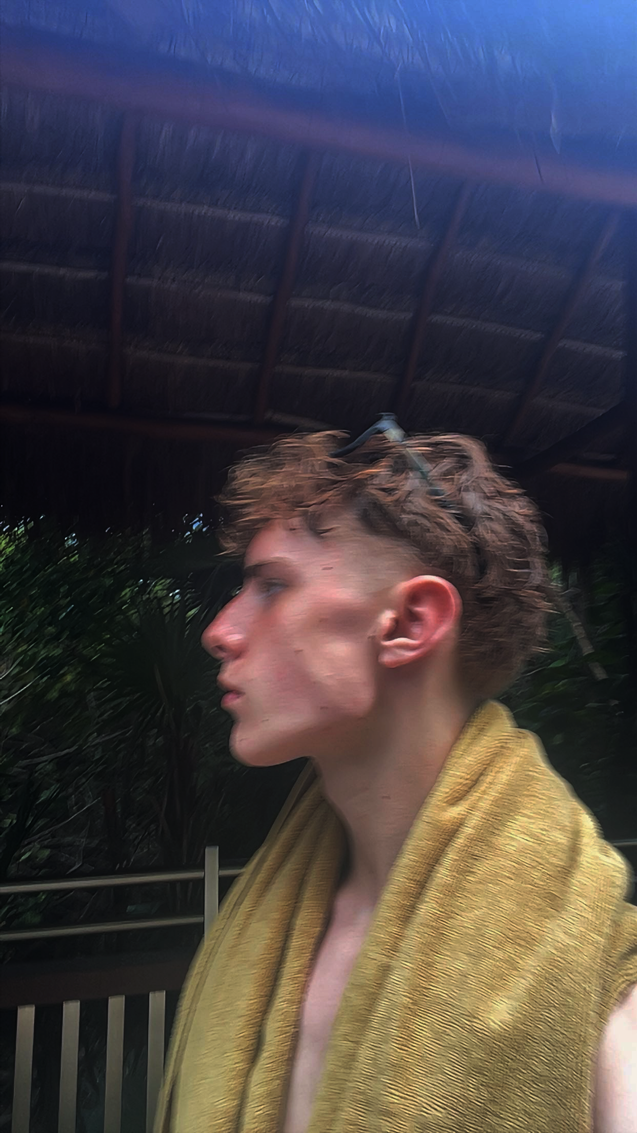 Copy 1C243ADE 23A2 4E4C AB32 F682B8C173C5