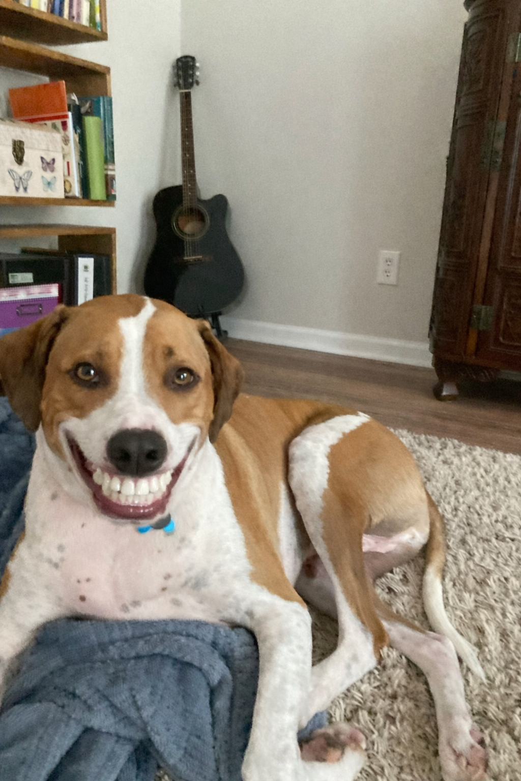 34EDC47C 7A9A 4AB4 AB62 A0CC88D5CD43